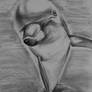 Dolphin - Draw-along Aug 2013