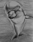 Dolphin - Draw-along Aug 2013 by philippeL