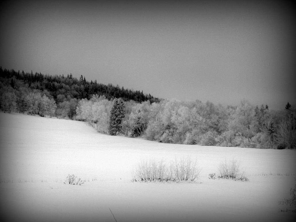 Winter Dream by philippeL Winter Dream by philippeL