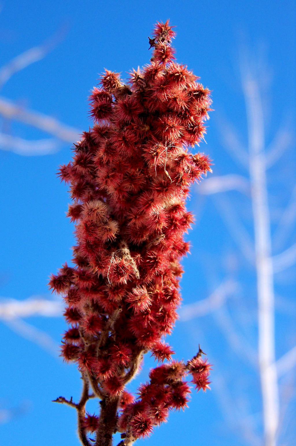 Clash of Warm and Cold Colors