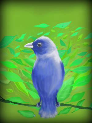 Blue Bird by philippeL Blue Bird by philippeL