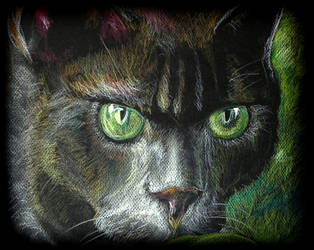 Big Green Eyes by philippeL