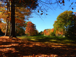 Blessings of an Autumn Morning