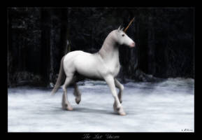 The Last Unicorn