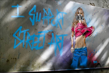 I Support Street Art