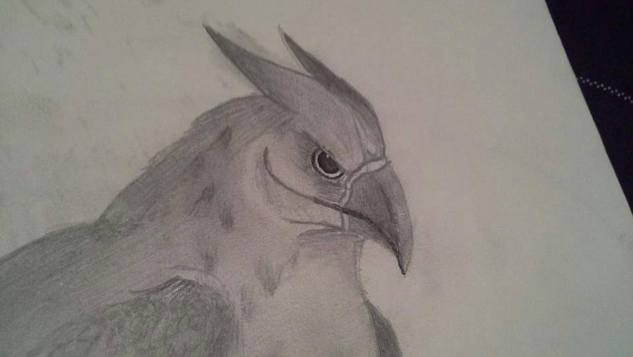 Griffin by Winterswing99 on DeviantArt