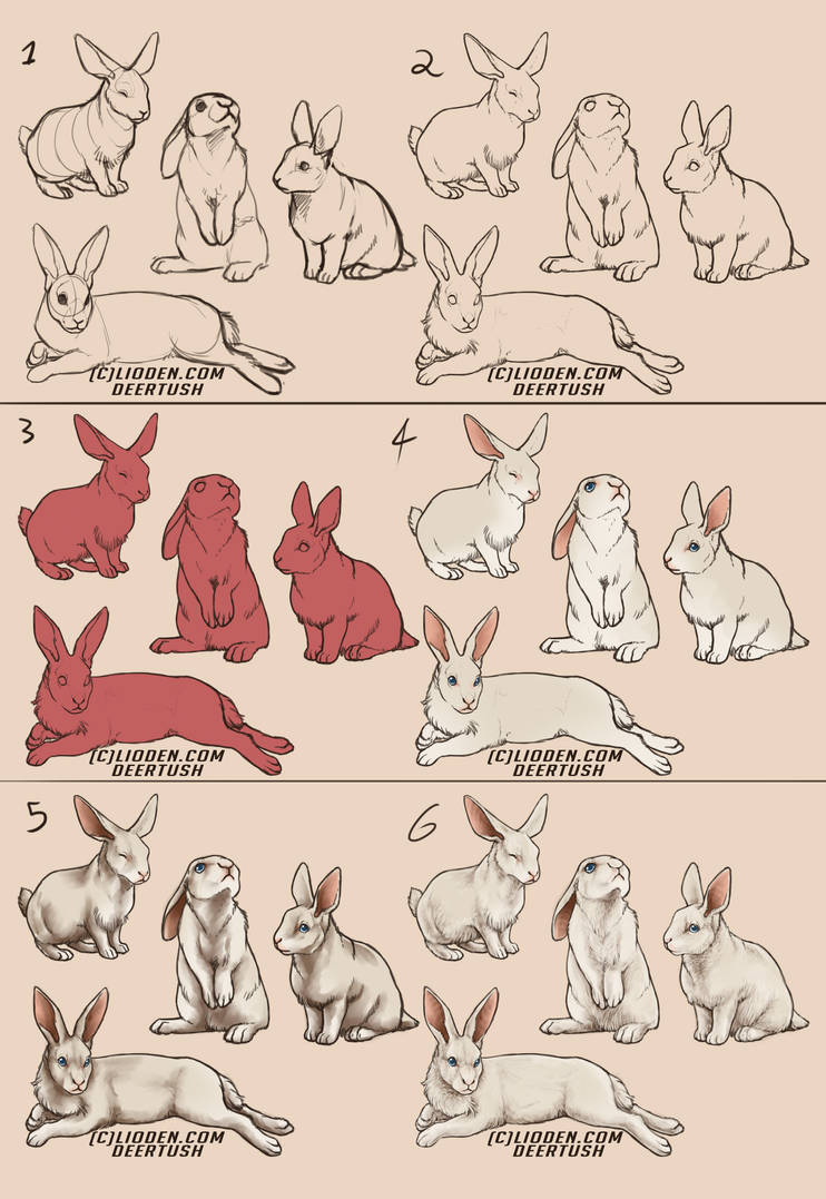 Process: White Rabbits by Deertush on DeviantArt