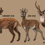 Lioden: Deer Progression