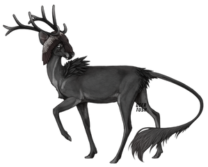 CD: Cryptid Deer Nakir