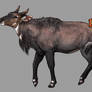 Lioden: Nilgai / Blue Bull