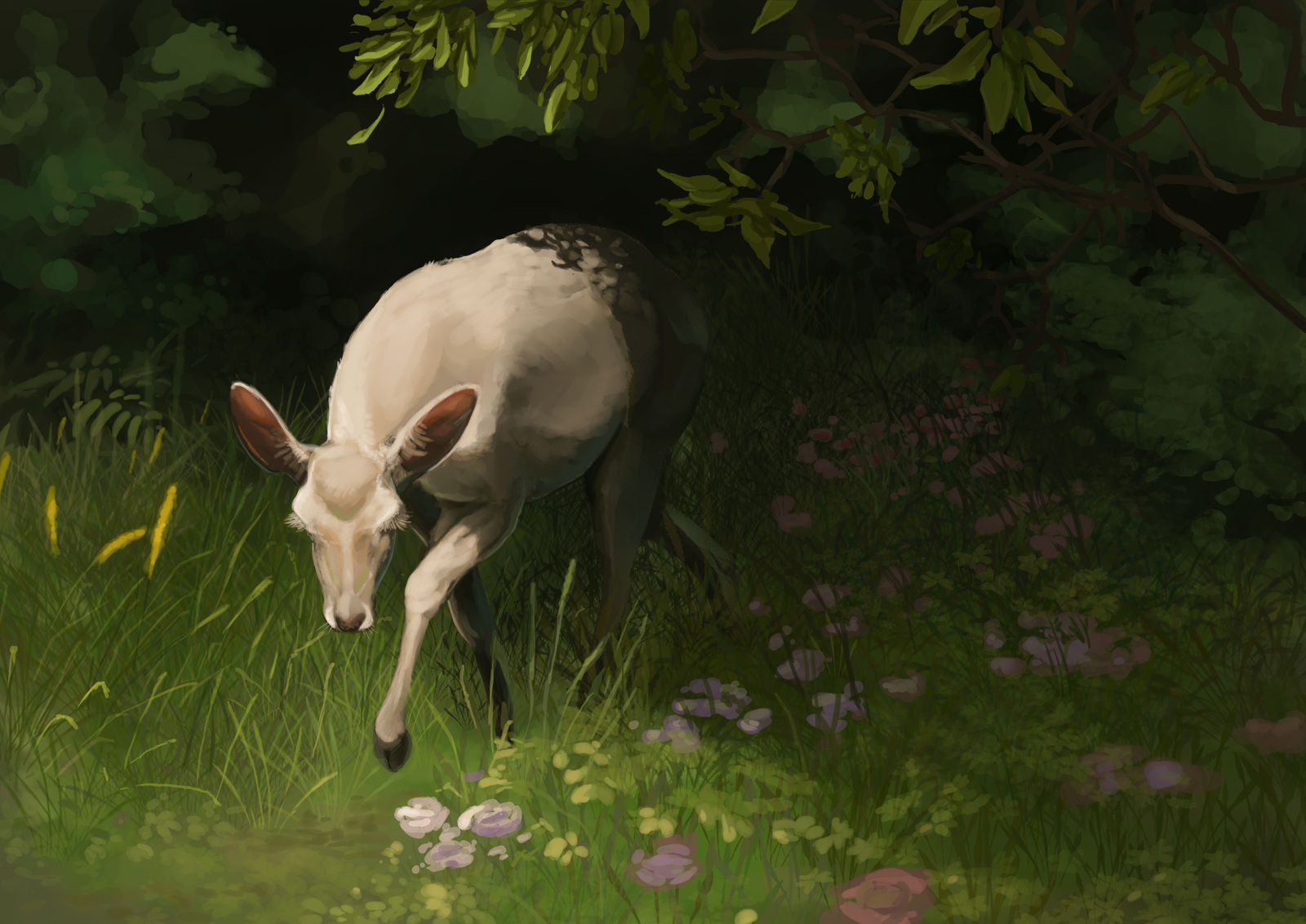 Deviantart Fallow Deercember: Fallow Deer by Deertush on DeviantArt