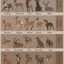 (Etsy) Deer of the World Chart