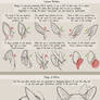 Deer Ear Guide