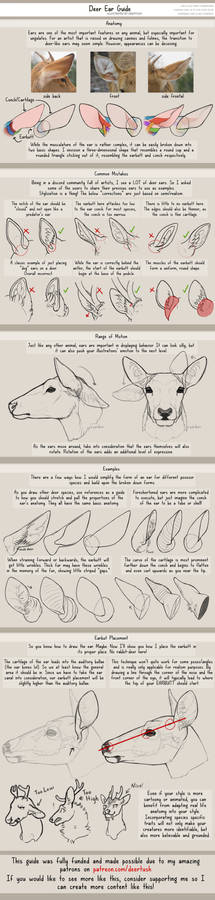 Deer Ear Guide