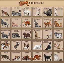 Lioden: Birthday Cats