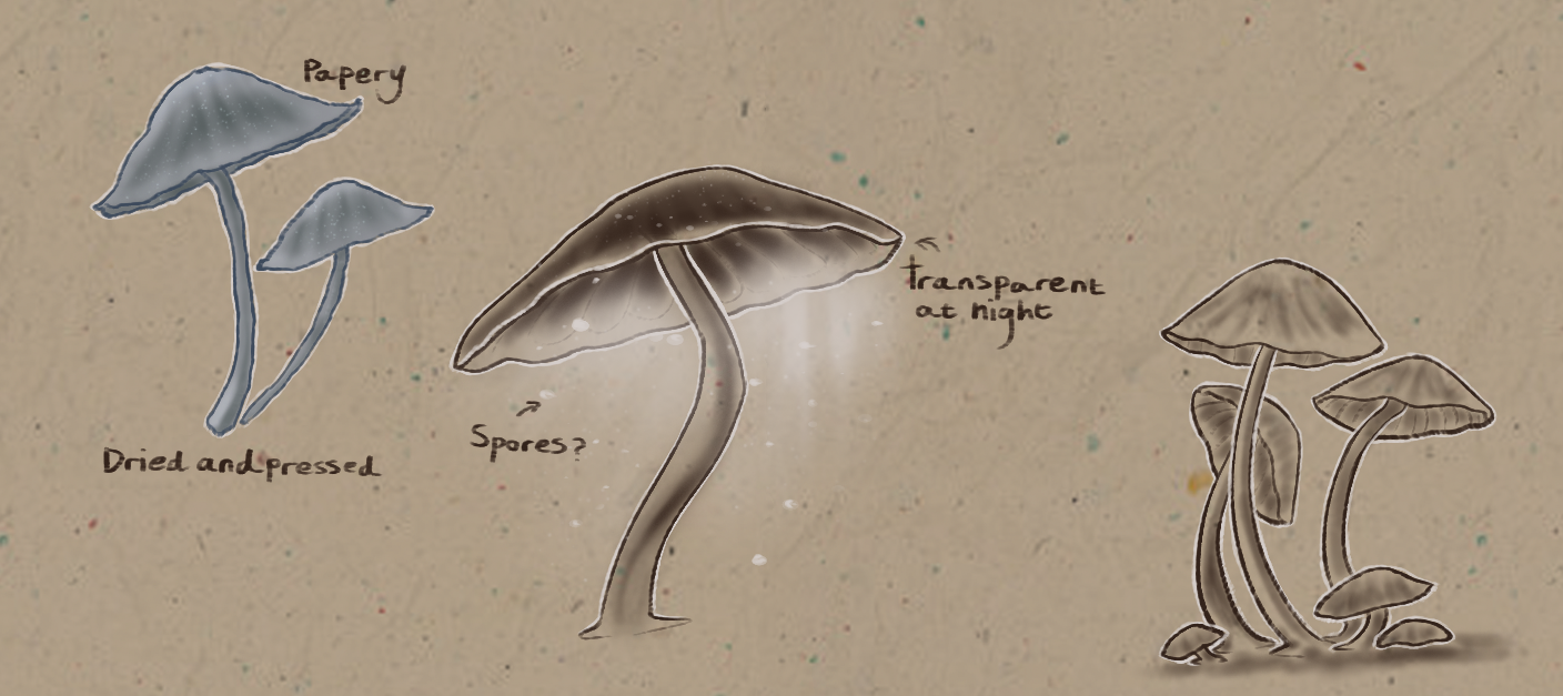 Frosty Bonnet Bug Sketch