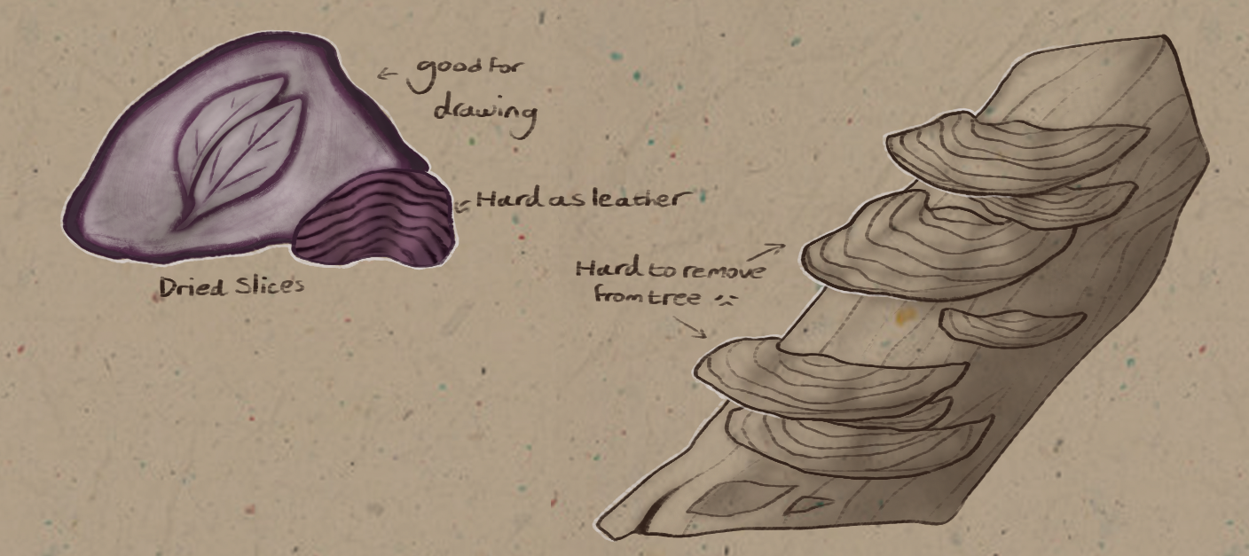 Shelf Mushrooms Bug Sketch