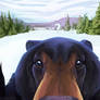 Black Bear Snorf