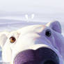 Polar Bear Snorf