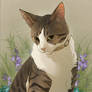 C: Yoda the cat