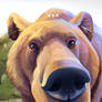 Grizzly Bear Snorf