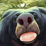 Sloth Bear Snorf