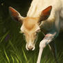 Fallow Morning Repaint