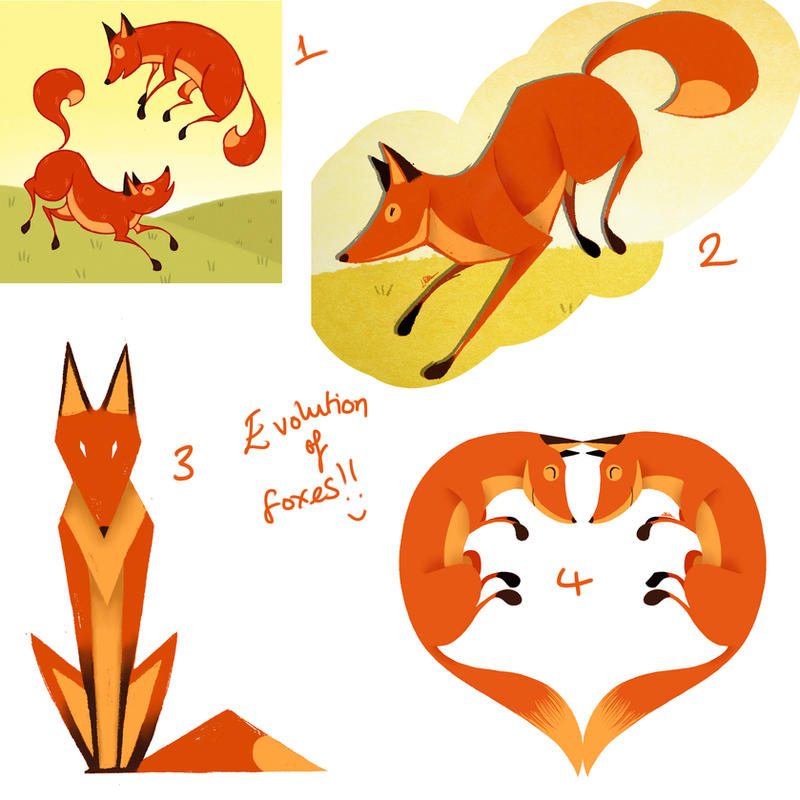 Fox Evolution Over Time Fox Evolution by LauraRobjohns on DeviantArt