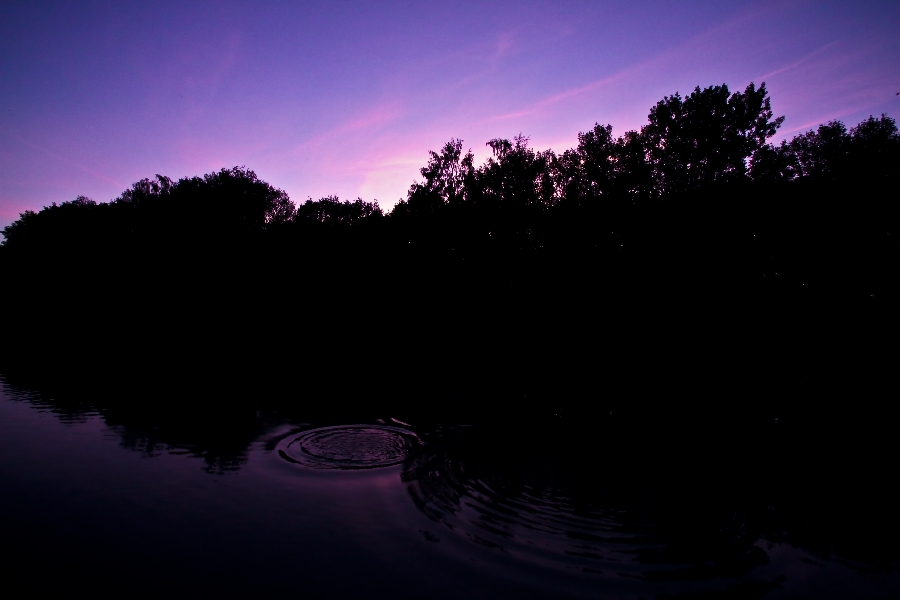 purple reflection