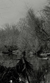 Black creek...