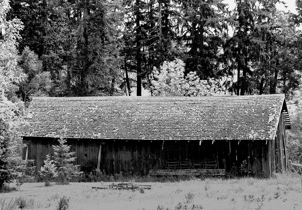 Dark memory... by thewolfcreek on DeviantArt