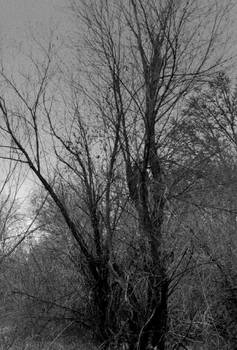 Of dark places...