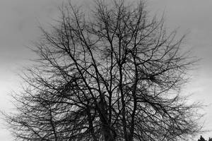 Winter...