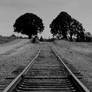 Nowhere...