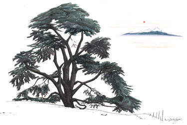 The Lebanese Cedar by inasmuch