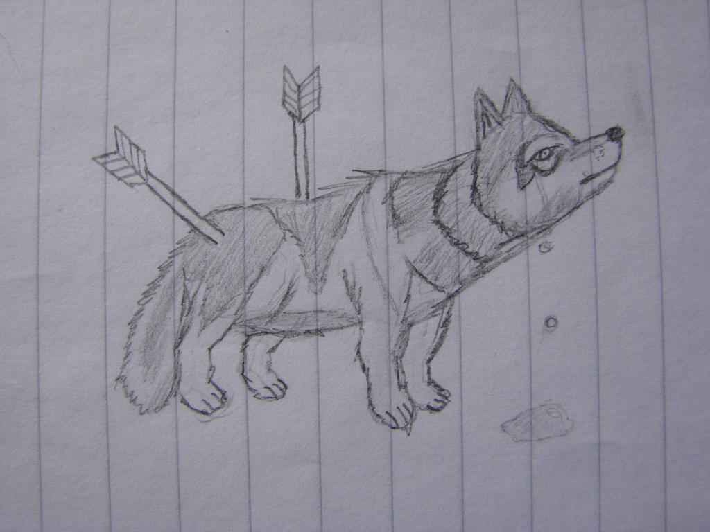 Wolf shot by arrows by StarUrufu on DeviantArt