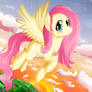 Fluttershy x3