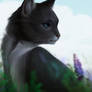 Cinderpelt