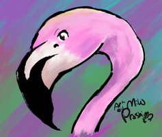 A Flamingo Sketch