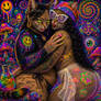 Cats OK Being Gay