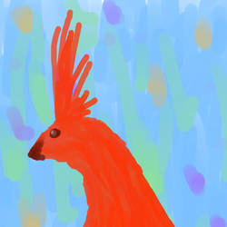 Red Bird