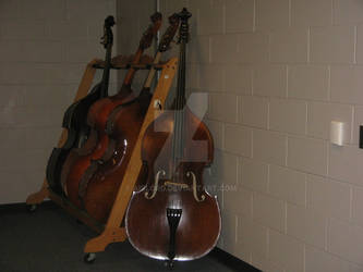 The Double Bass