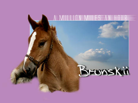 Brunskii