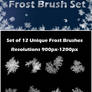 Frost Brushes