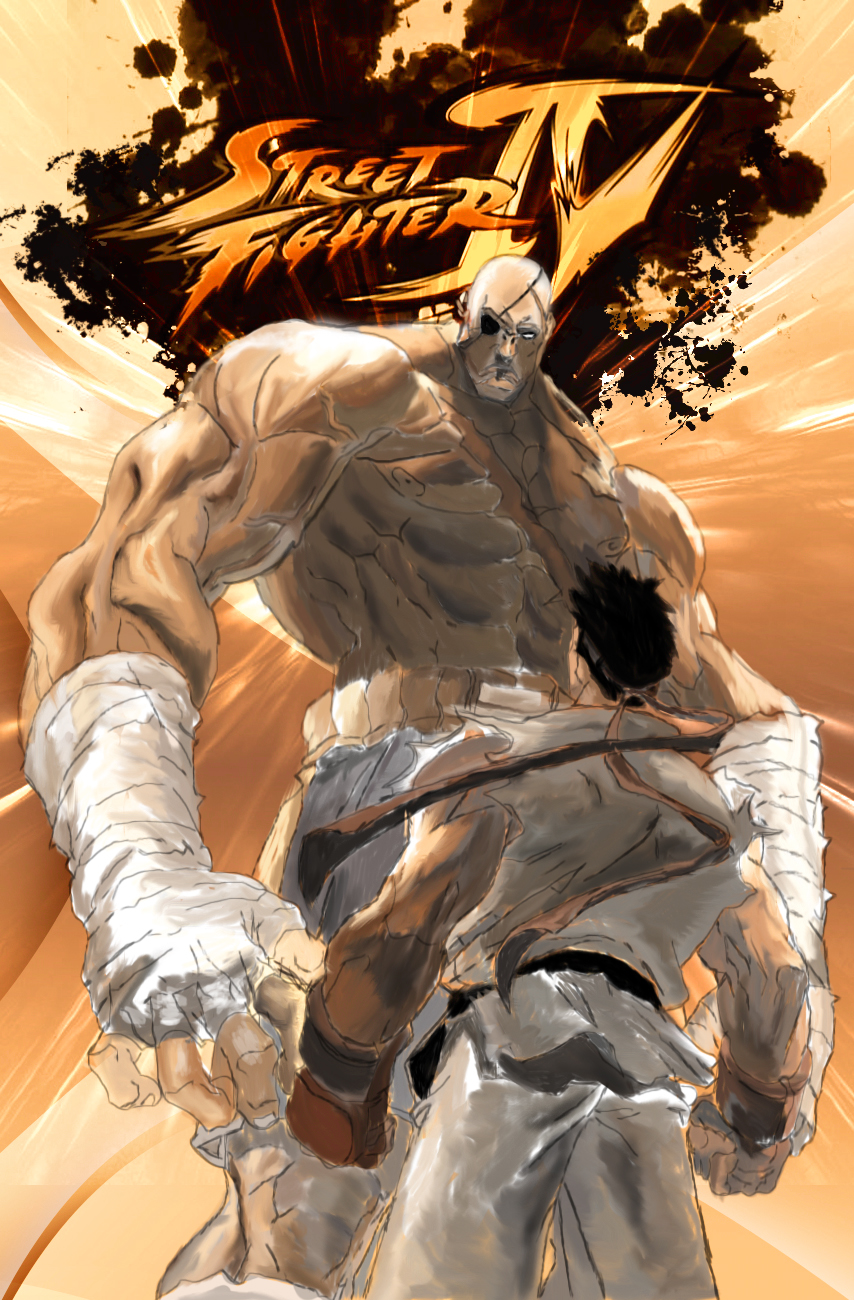 Sagat vs Ryu 2