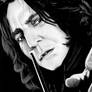 Harry Potter Project: Severus Snape
