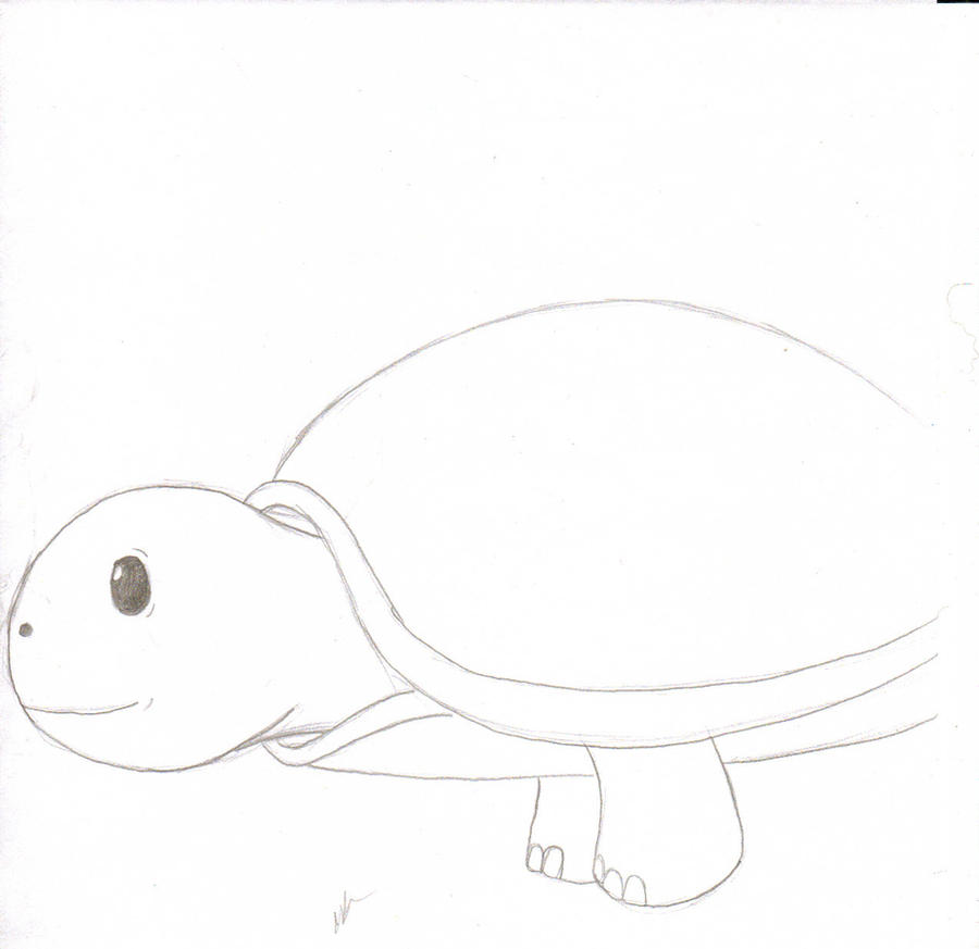 Turtle Frog Deviantart Turtle by demigothe on DeviantArt