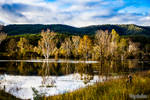 Autumn Reflections by droy333