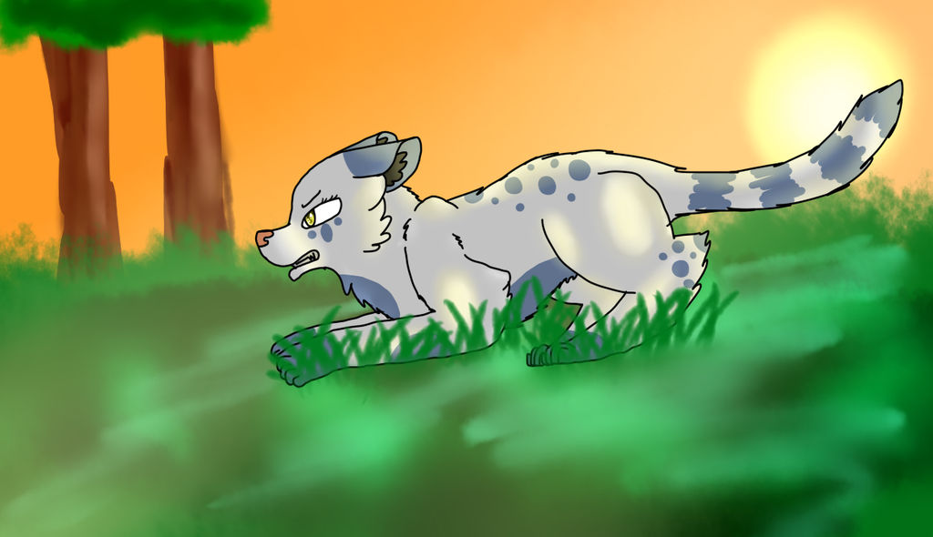 Splashkit-Splashpaw-SplashStream by ShadowWarrior625 on DeviantArt