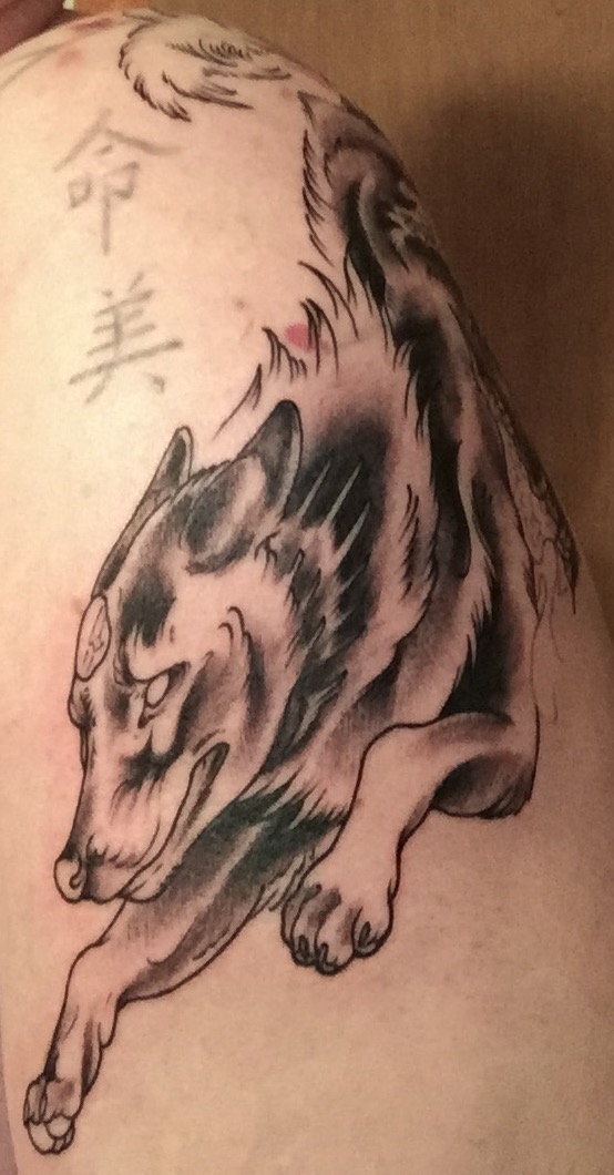 Silver Fox tattoo WIP